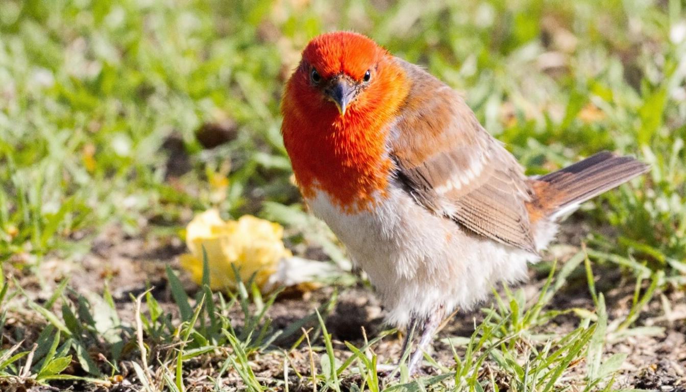 découvrez notre comparatif des lampes pour vidéoprojecteur epson et trouvez les options les mieux adaptées à vos besoins pour une image optimale et une longue durée de vie.