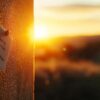 Souhaiter une bonne journée : texte original pour inspirer vos proches