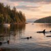 découvrez comment sound puget révèle l'influence de la nature sur une expérience maritime unique, mêlant paysages sauvages et sensations authentiques.