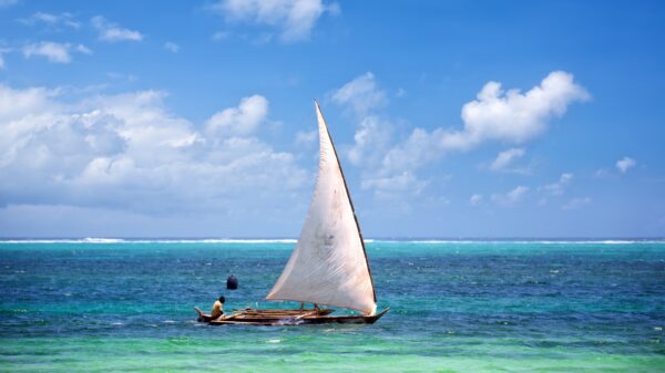 windsurf en famille