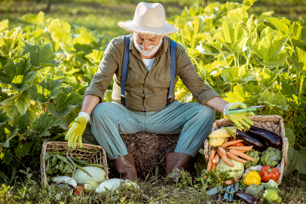 légumes riches fer