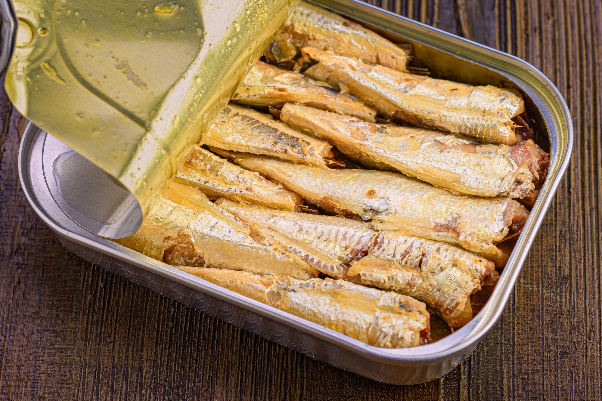 Open can of preserved sardines in close-up