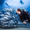Exploration sous-marine