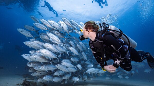 Exploration sous-marine