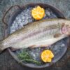 Raw trout fish
