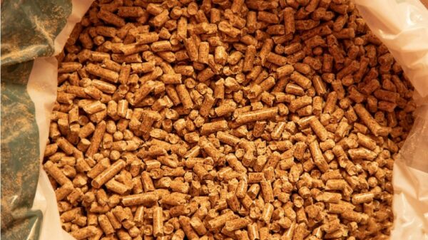 sac pellet